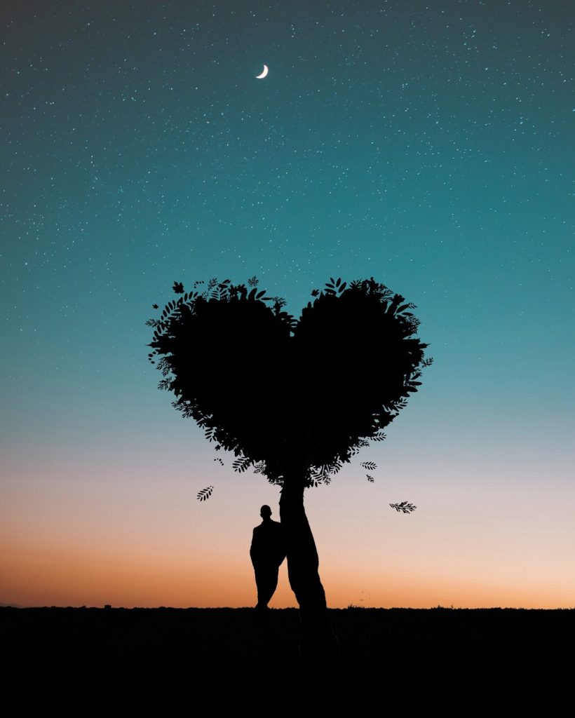 silhouette photo of man leaning on heart-shaped tree
